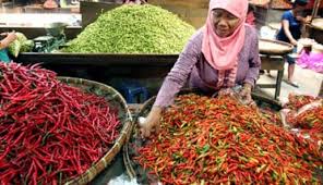 Harga Cabai Kian Pedas, Capai Rp100 Ribu per Kilogram